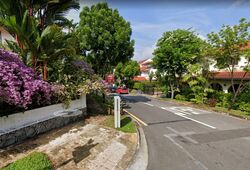 Henry Park (D10), Detached #395650301